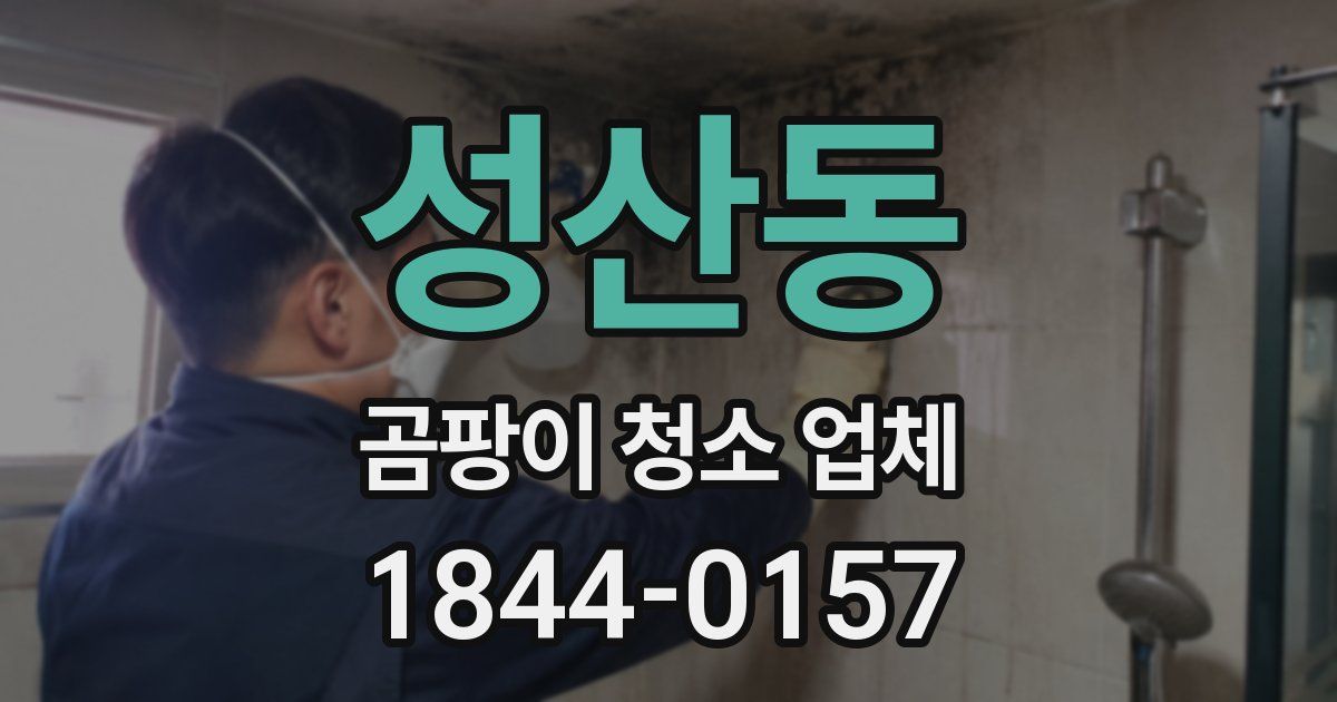 성산동 곰팡이 청소 업체