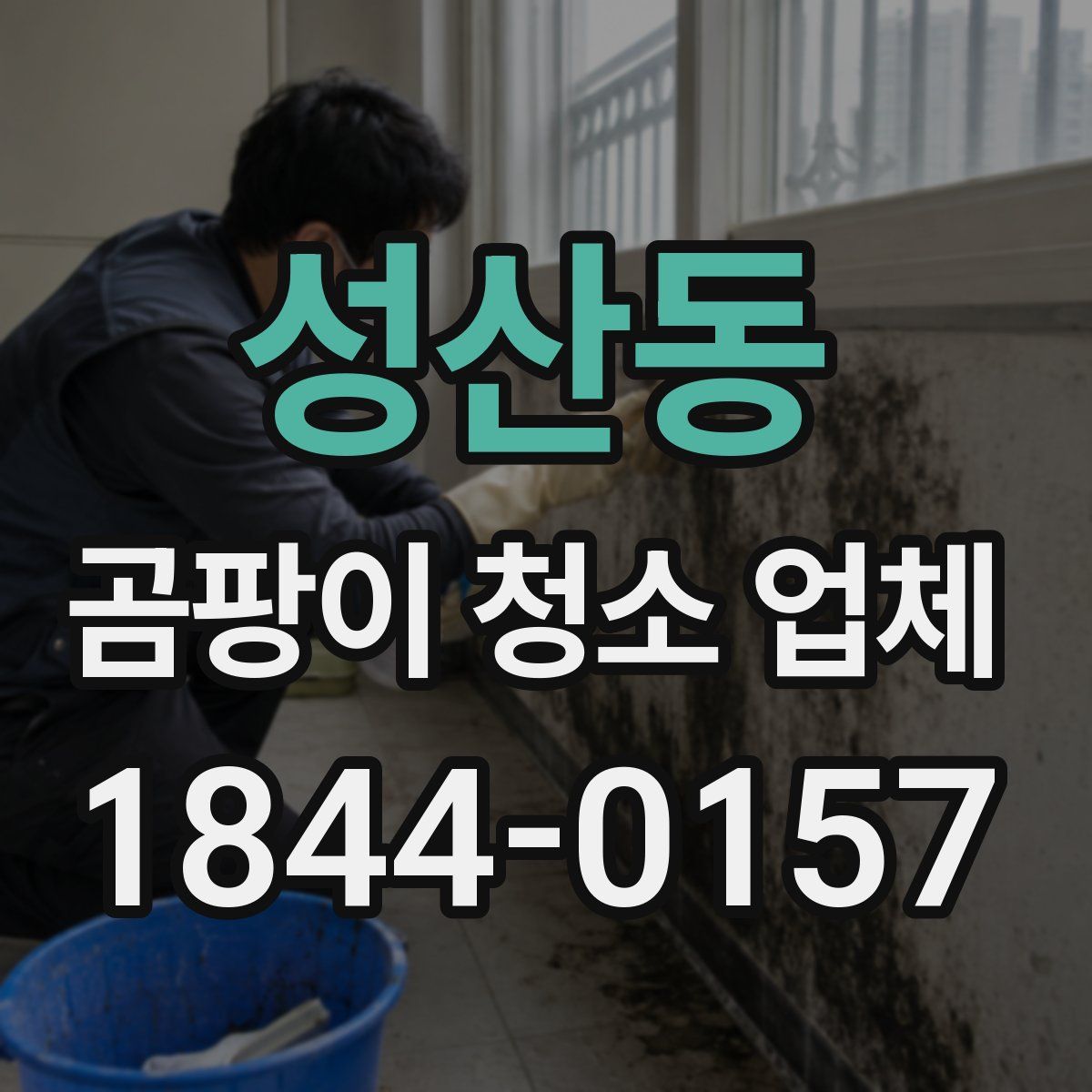 성산동 곰팡이 청소 업체