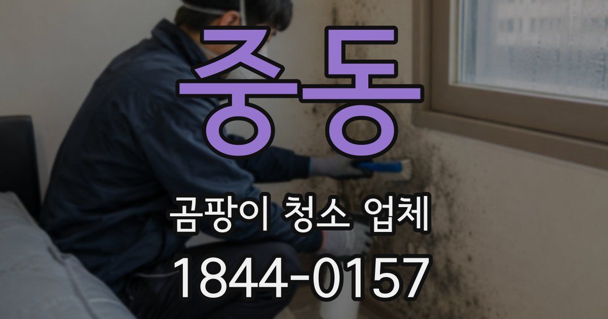 중동 곰팡이 청소 업체