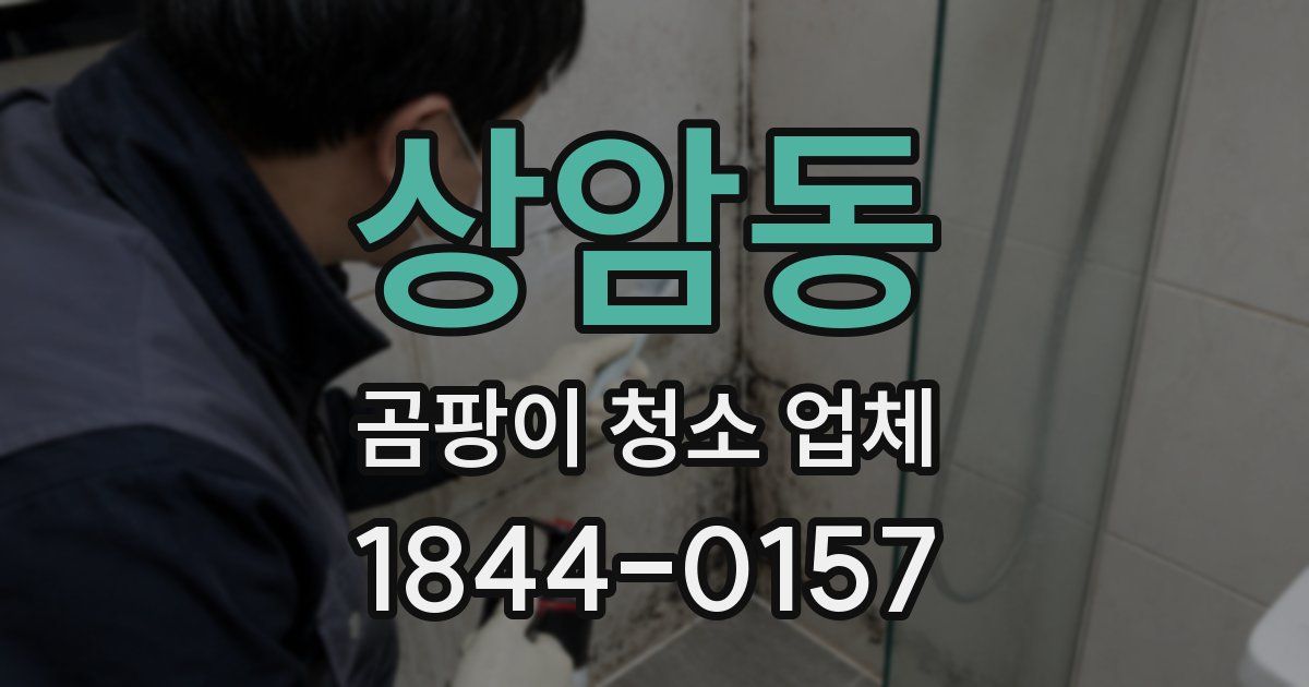 상암동 곰팡이 청소 업체