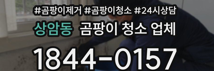 상암동 곰팡이 청소 업체