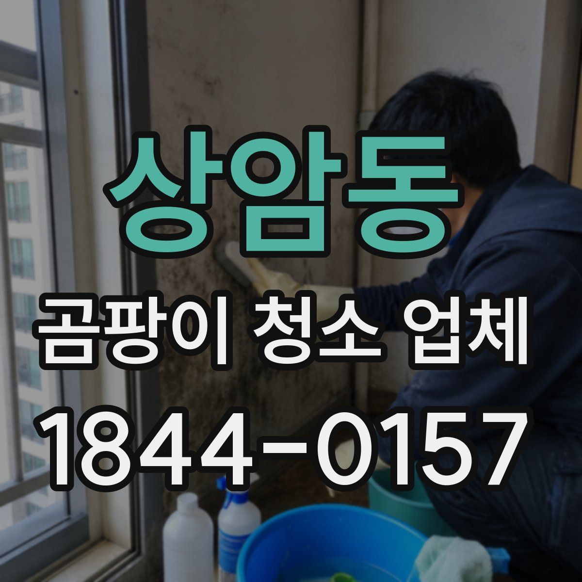 상암동 곰팡이 청소 업체