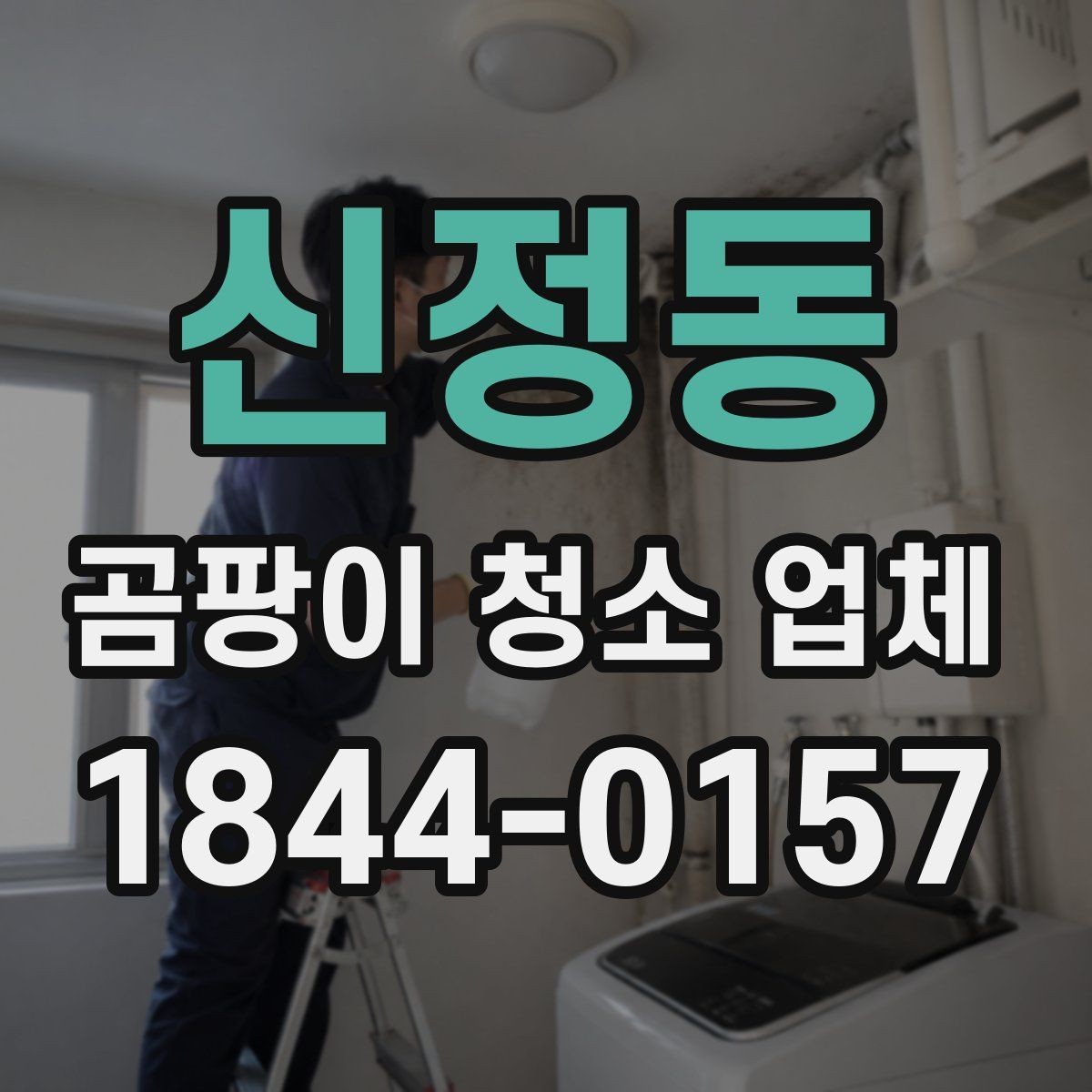 신정동 곰팡이 청소 업체 욕실 벽면과 줄눈 오염을 다루는 순서