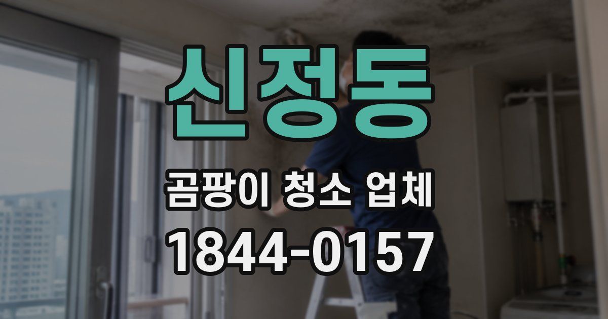 신정동 곰팡이 청소 업체