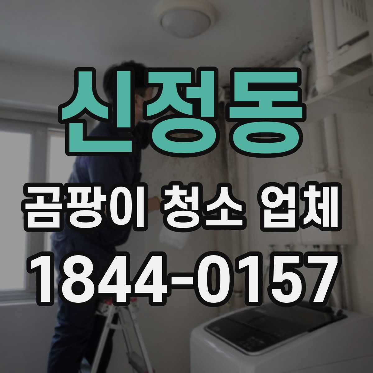 신정동 곰팡이 청소 업체