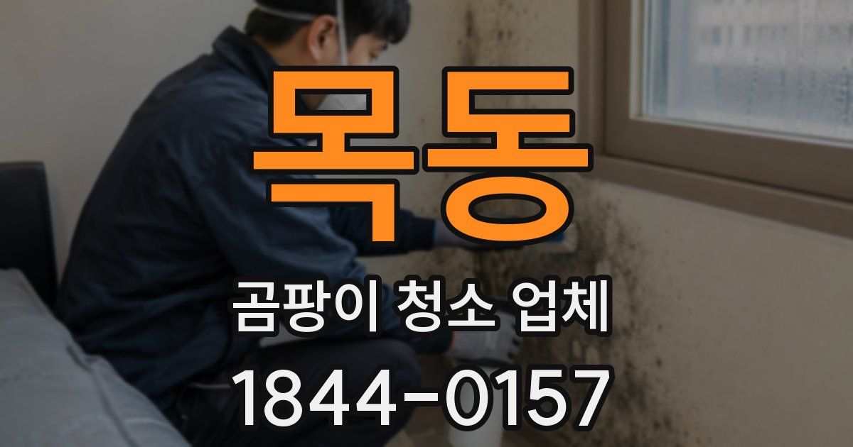 목동 곰팡이 청소 업체