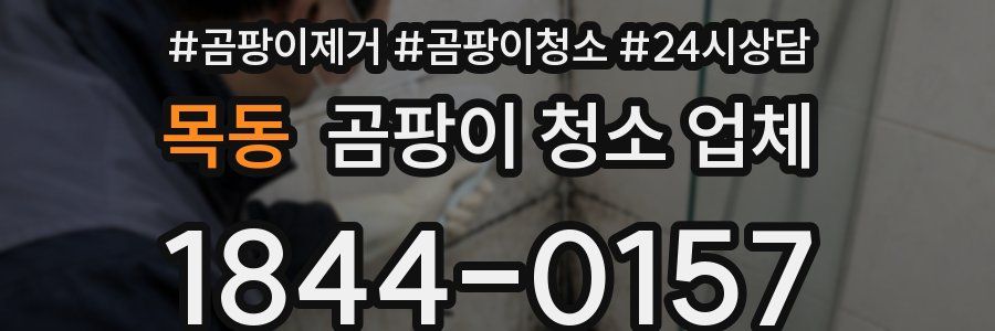 목동 곰팡이 청소 업체