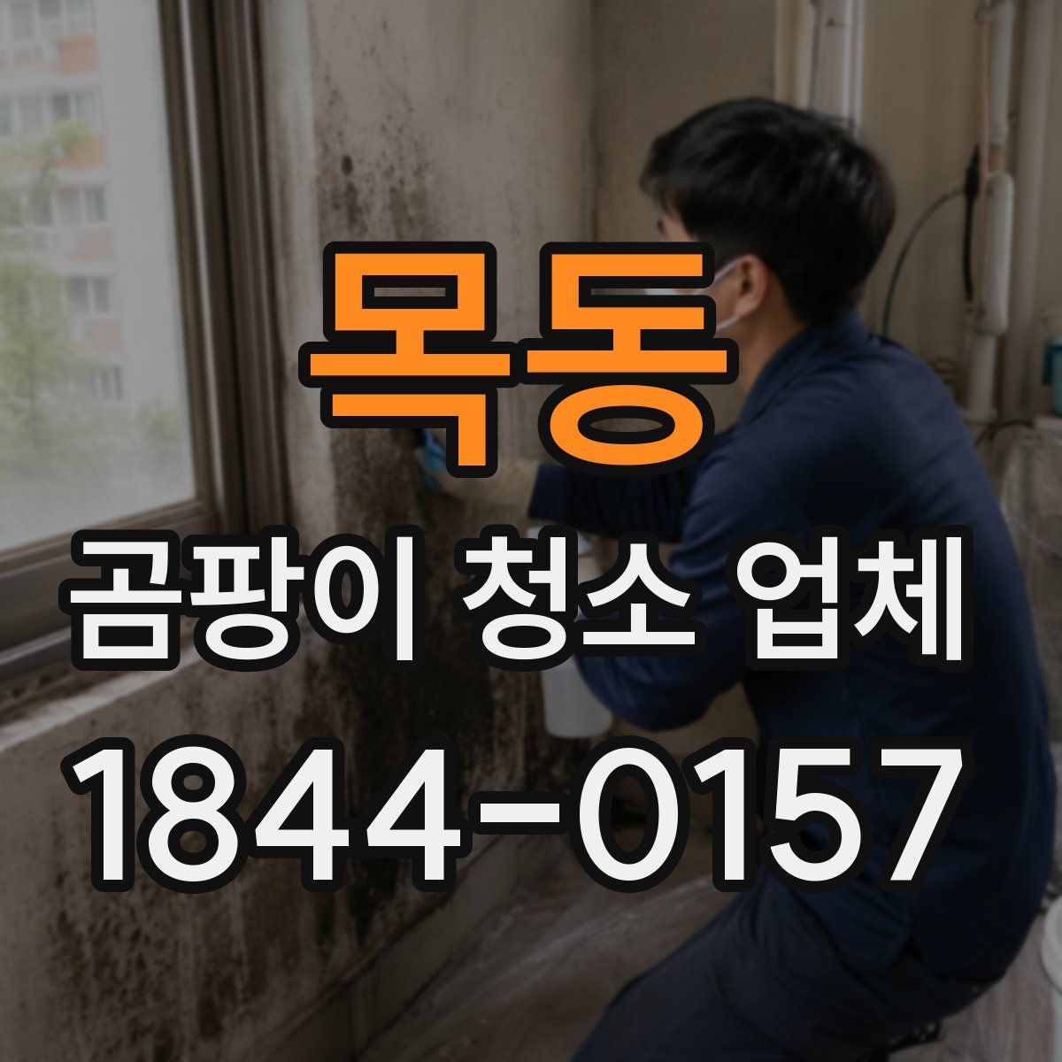 목동 곰팡이 청소 업체