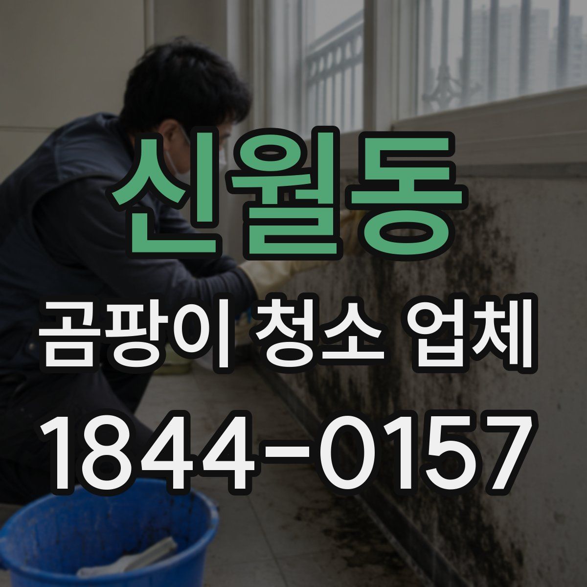 신월동 곰팡이 청소 업체