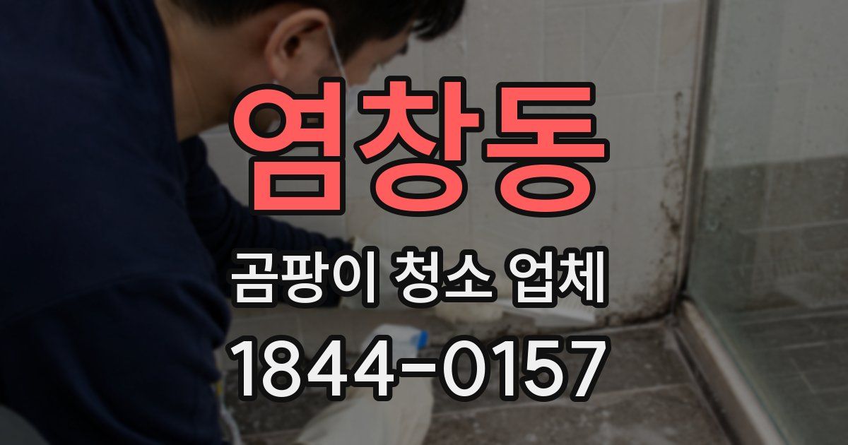 염창동 곰팡이 청소 업체