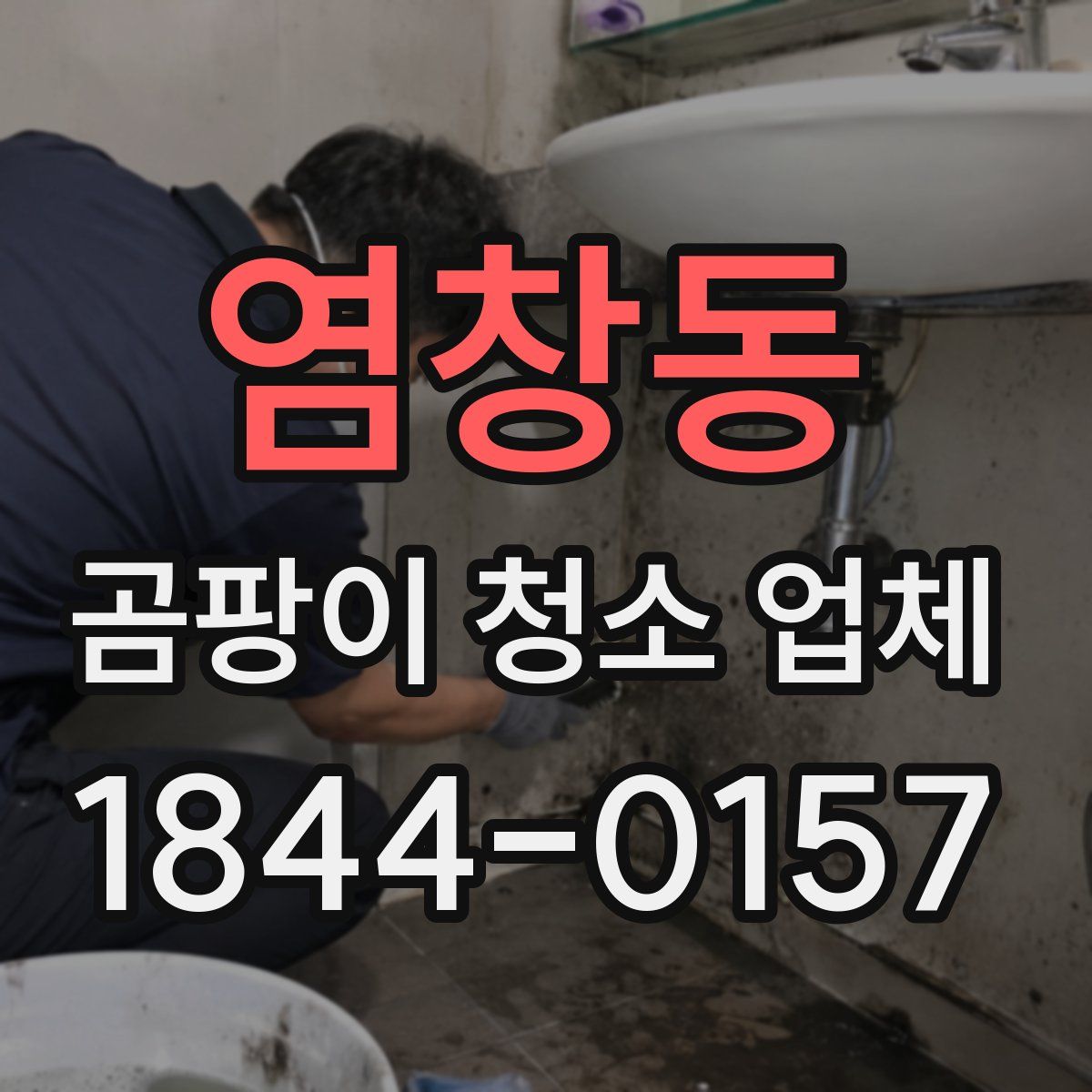 염창동 곰팡이 청소 업체