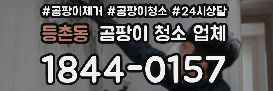 등촌동 곰팡이 청소 업체