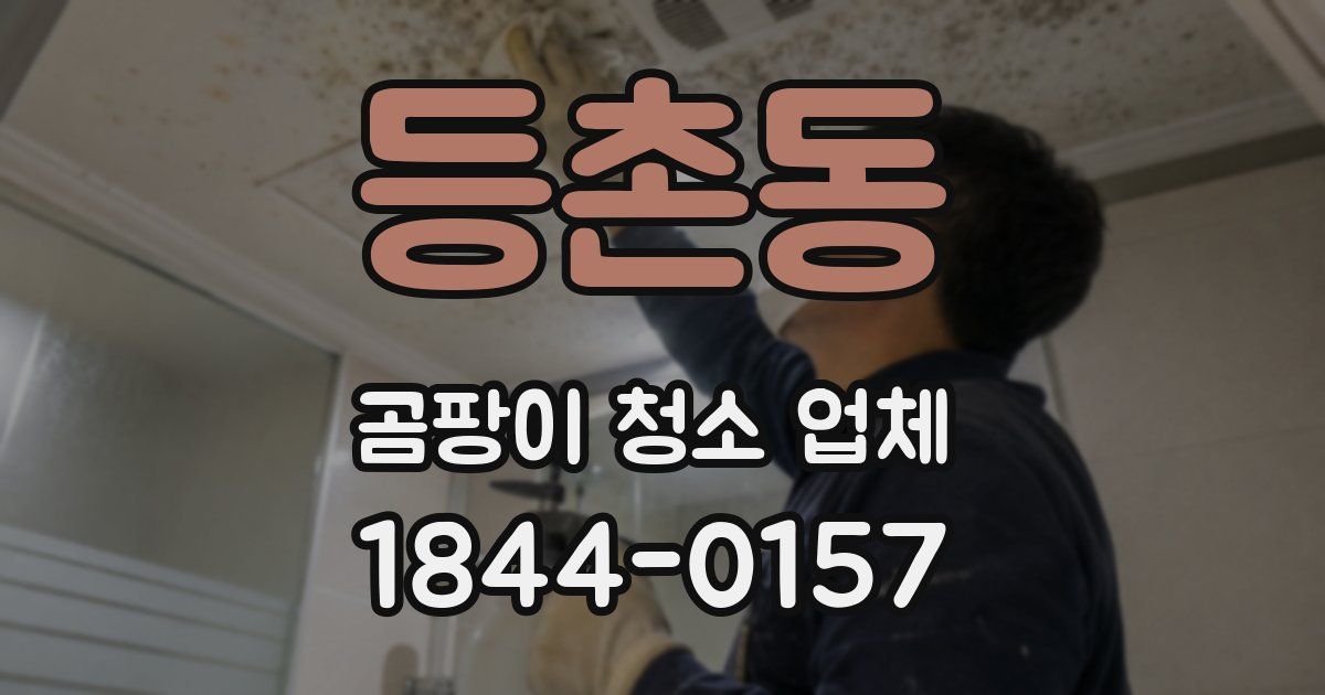 등촌동 곰팡이 청소 업체