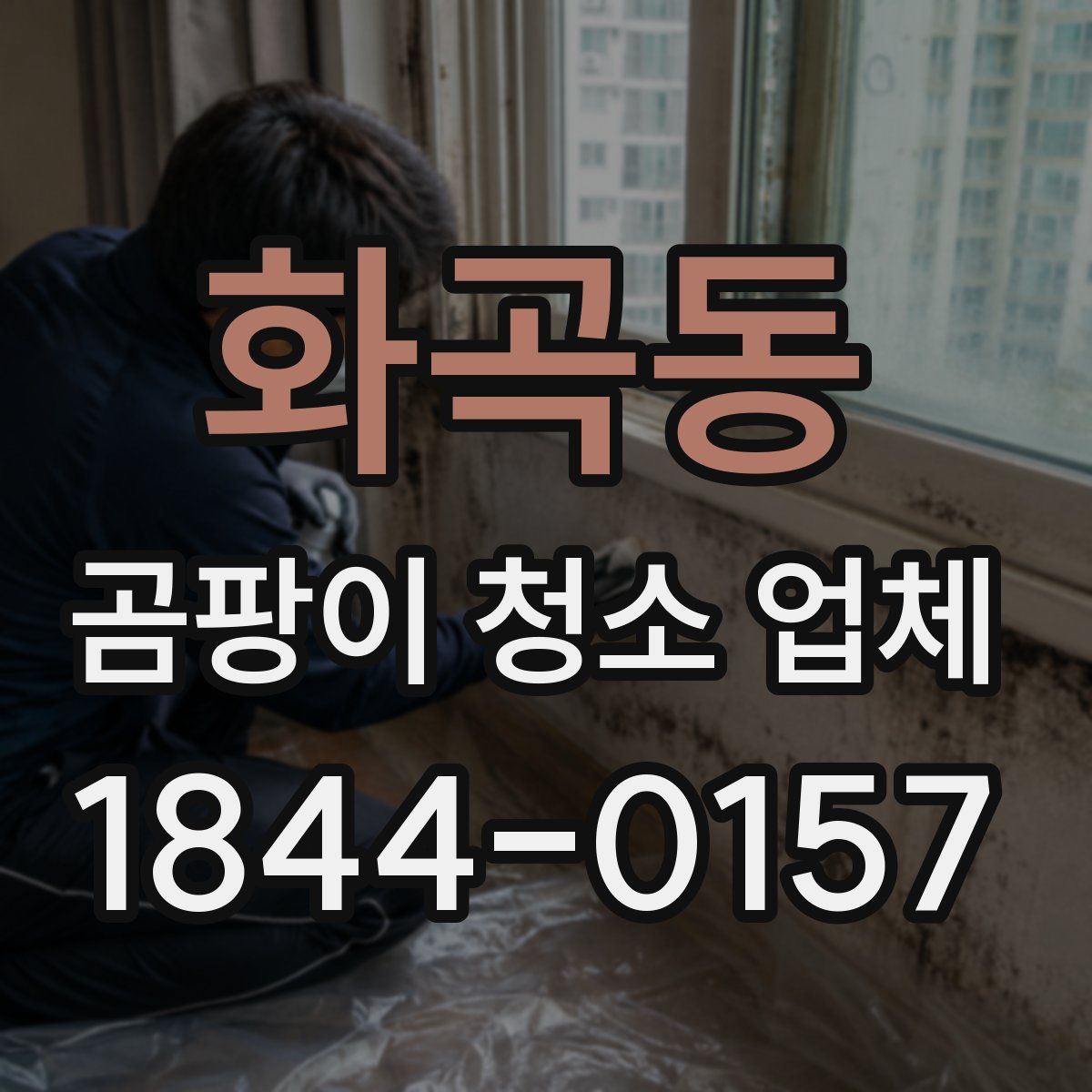 화곡동 곰팡이 청소 업체