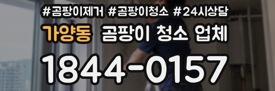 가양동 곰팡이 청소 업체