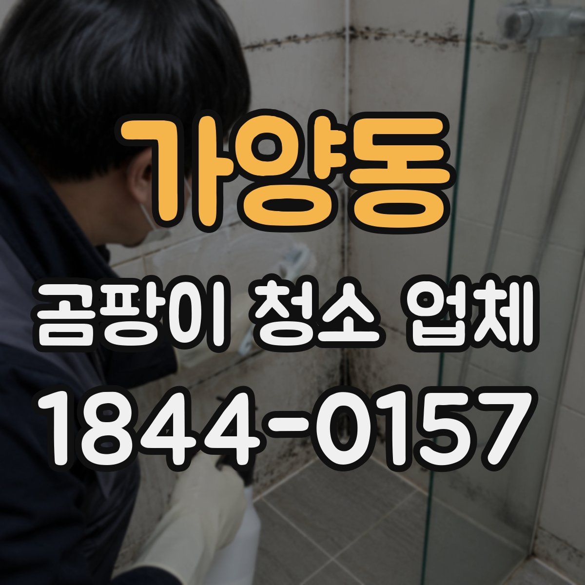 가양동 곰팡이 청소 업체