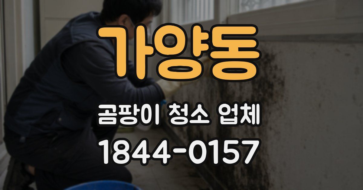 가양동 곰팡이 청소 업체