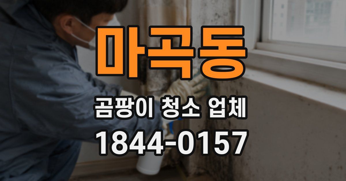 마곡동 곰팡이 청소 업체