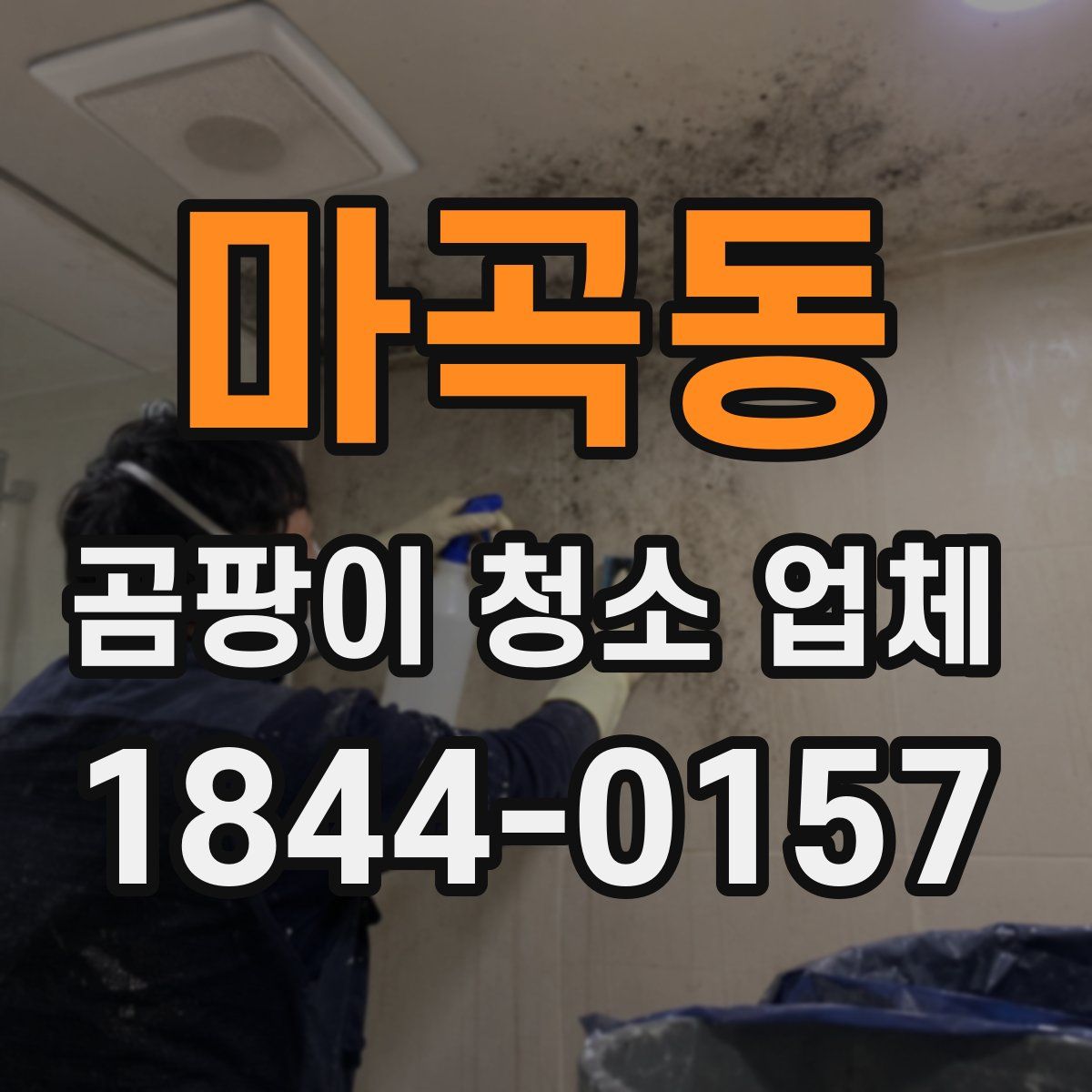 마곡동 곰팡이 청소 업체