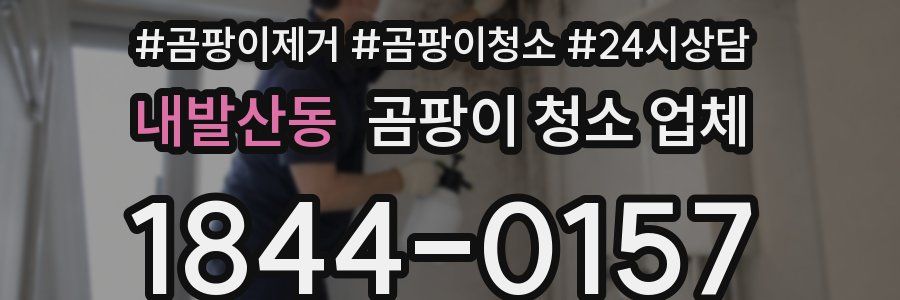 내발산동 곰팡이 청소 업체