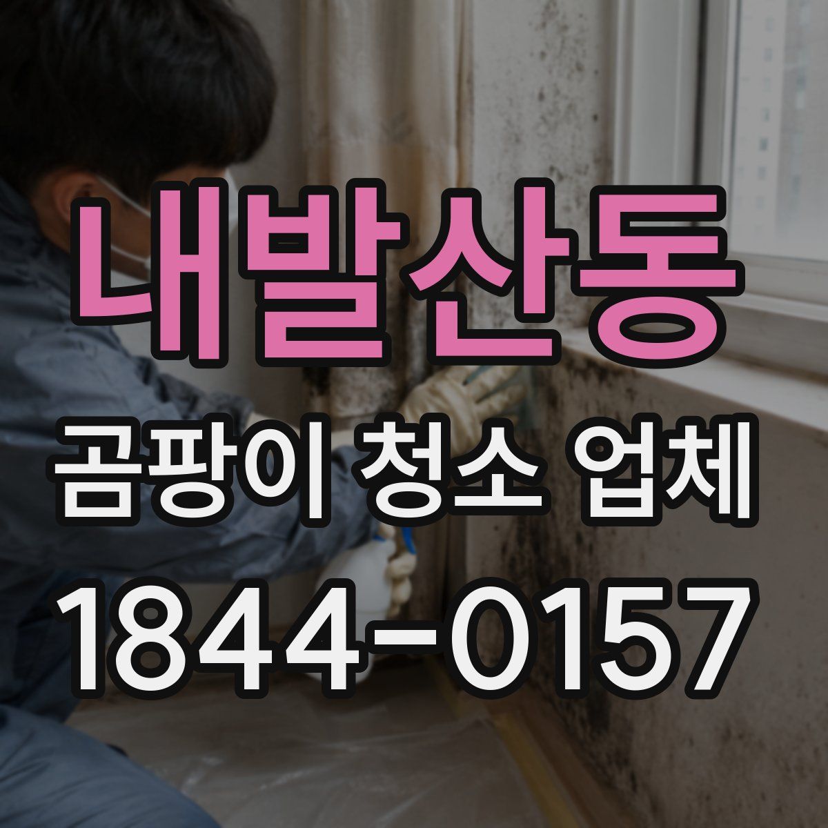 내발산동 곰팡이 청소 업체