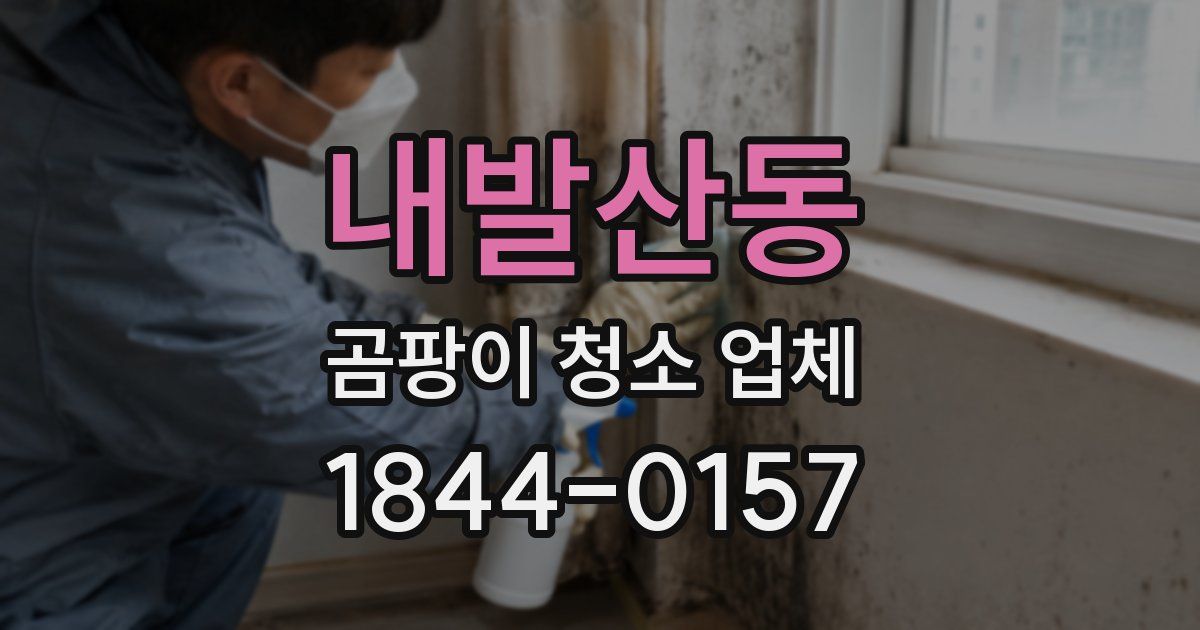 내발산동 곰팡이 청소 업체
