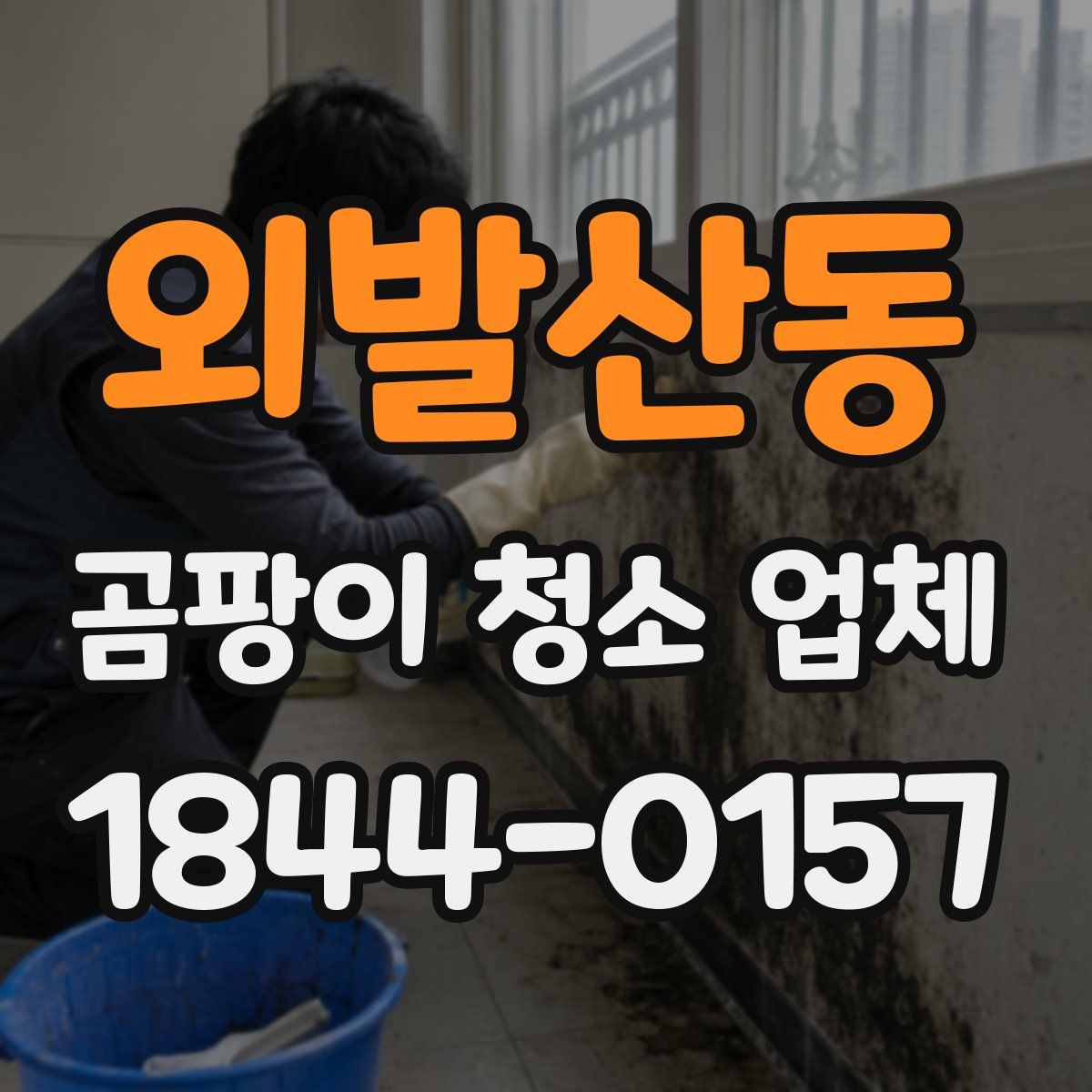 외발산동 곰팡이 청소 업체
