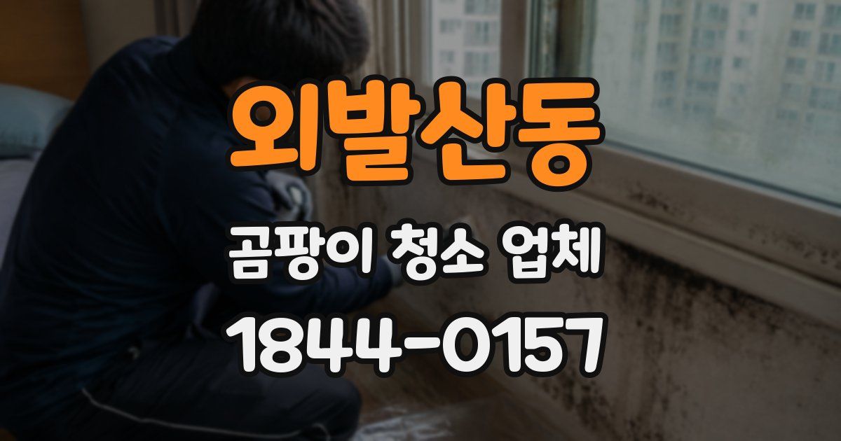 외발산동 곰팡이 청소 업체