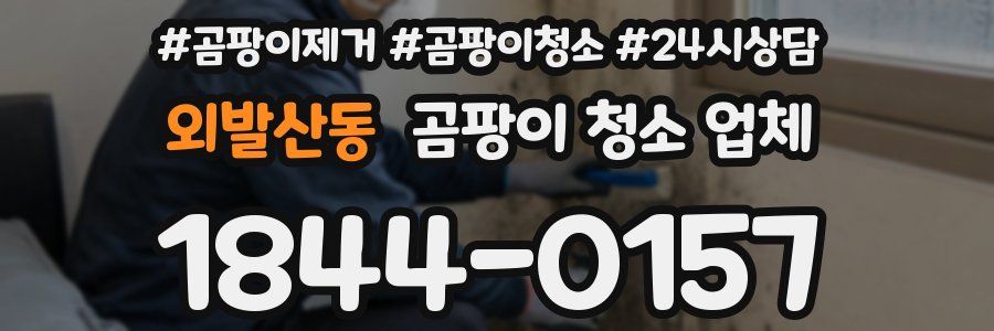 외발산동 곰팡이 청소 업체