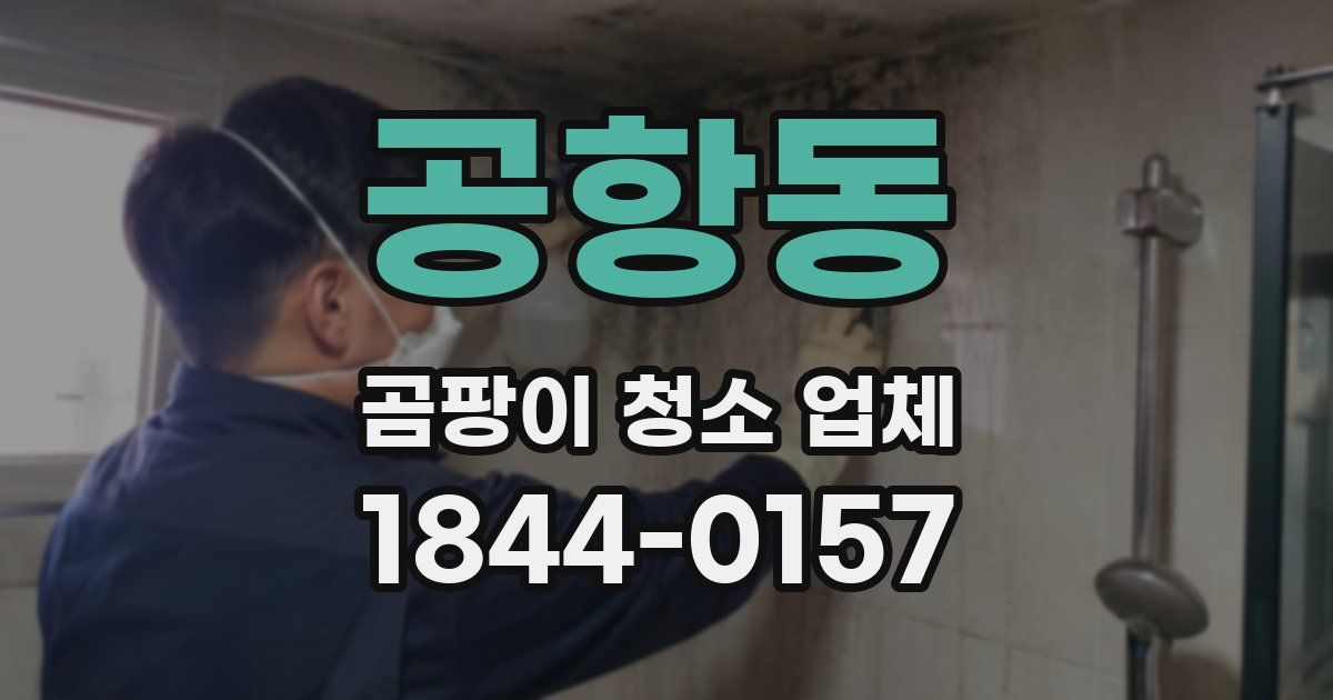 공항동 곰팡이 청소 업체