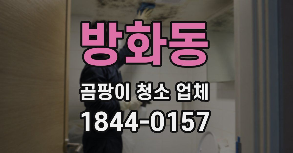 방화동 곰팡이 청소 업체