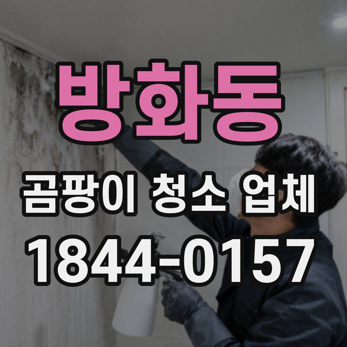 방화동 곰팡이 청소 업체