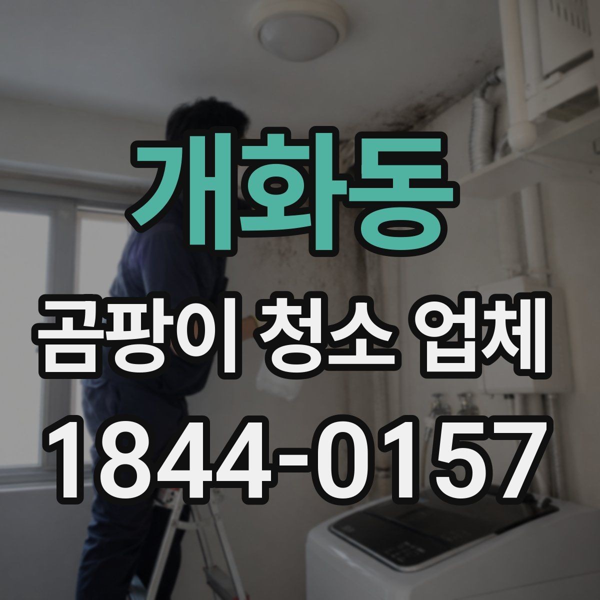 개화동 곰팡이 청소 업체 욕실 벽면 곰팡이 제거는 어떻게 진행될까