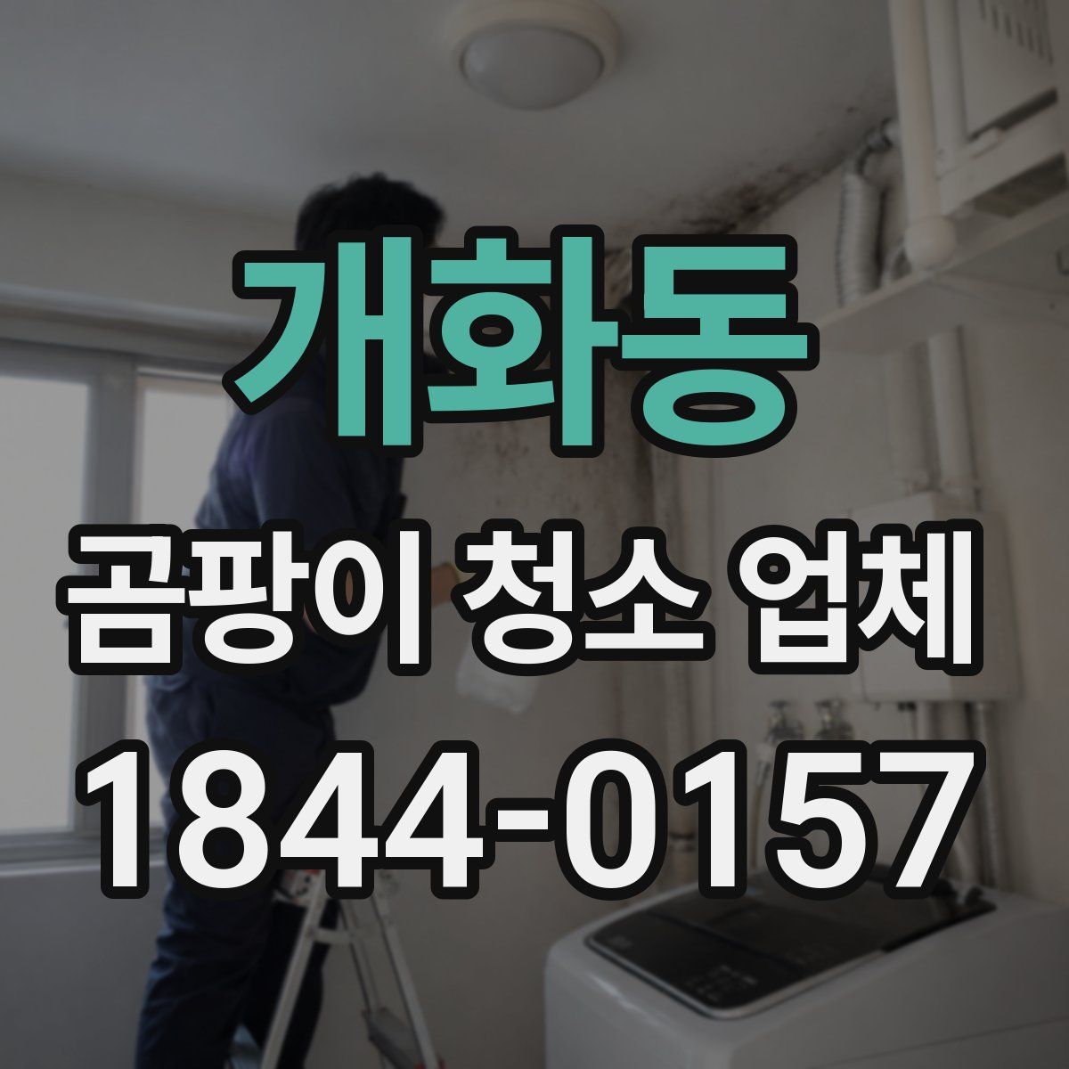 개화동 곰팡이 청소 업체