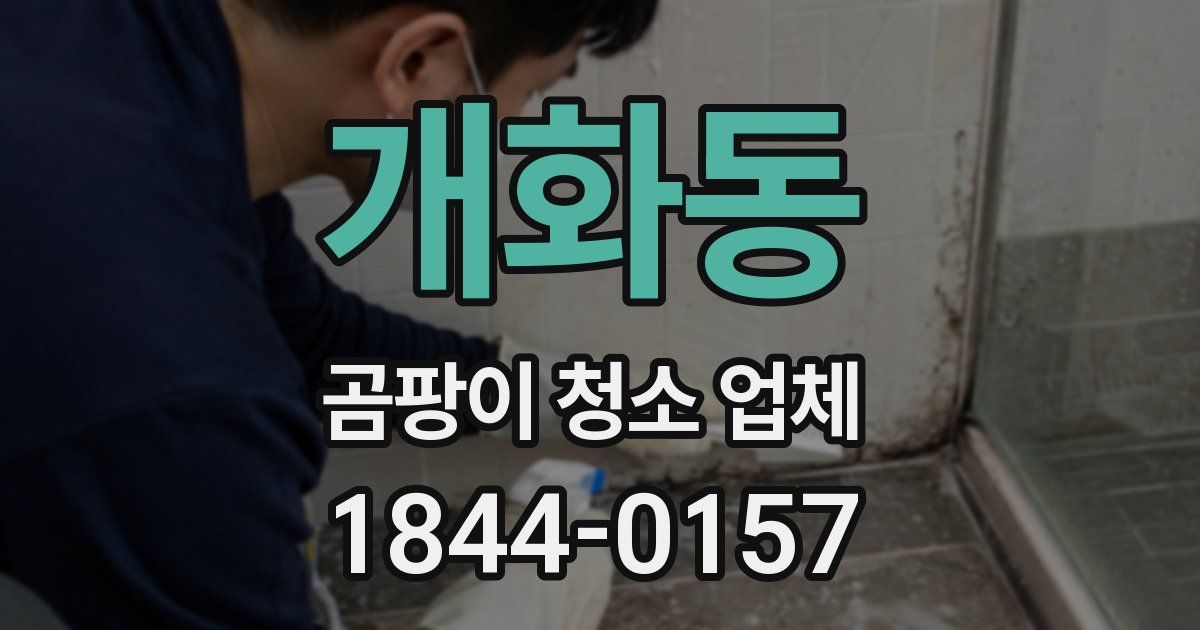 개화동 곰팡이 청소 업체