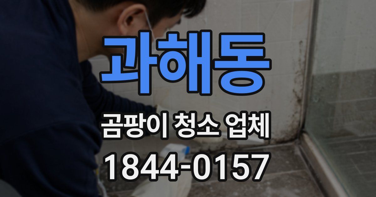 과해동 곰팡이 청소 업체