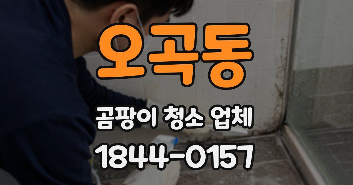 오곡동 곰팡이 청소 업체
