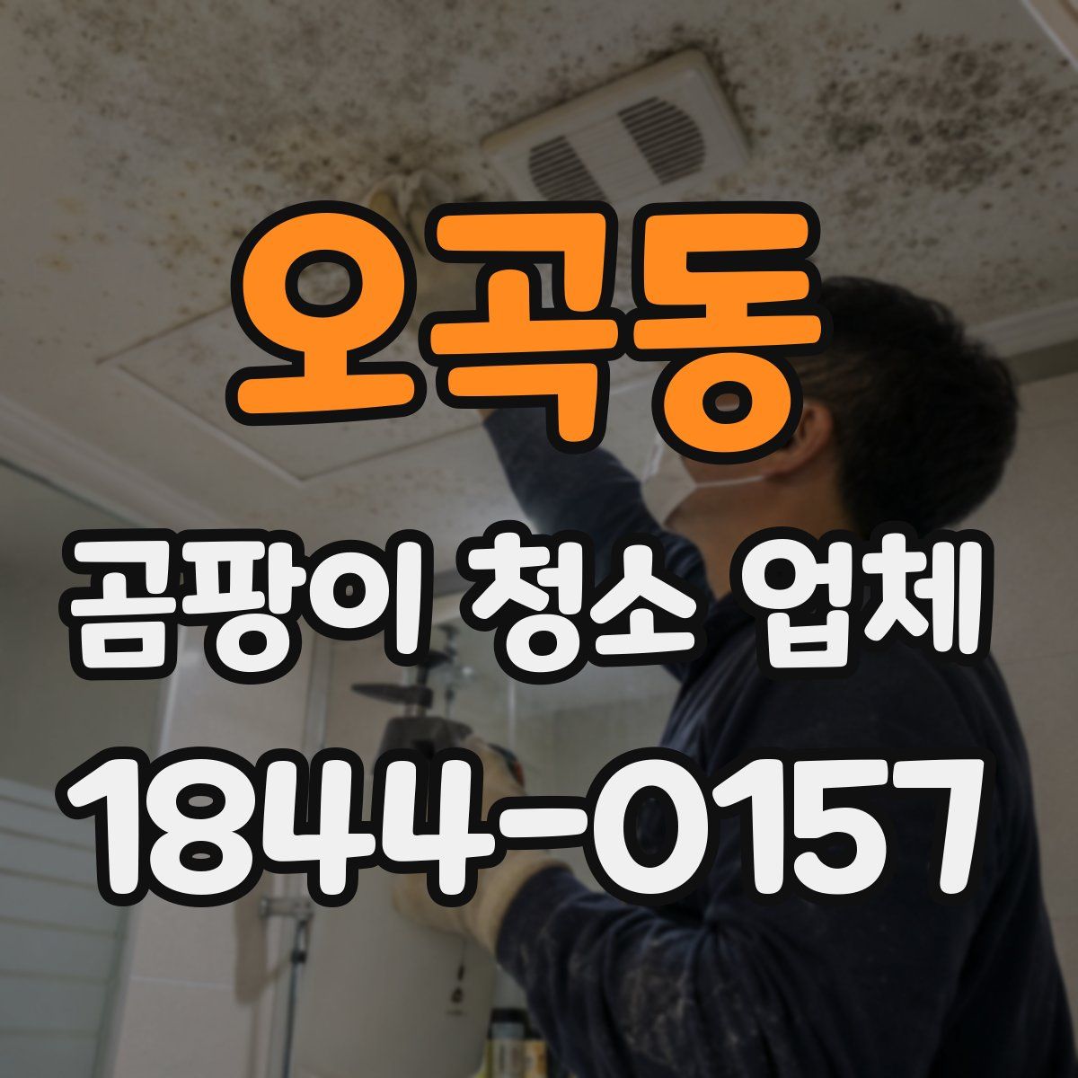 오곡동 곰팡이 청소 업체