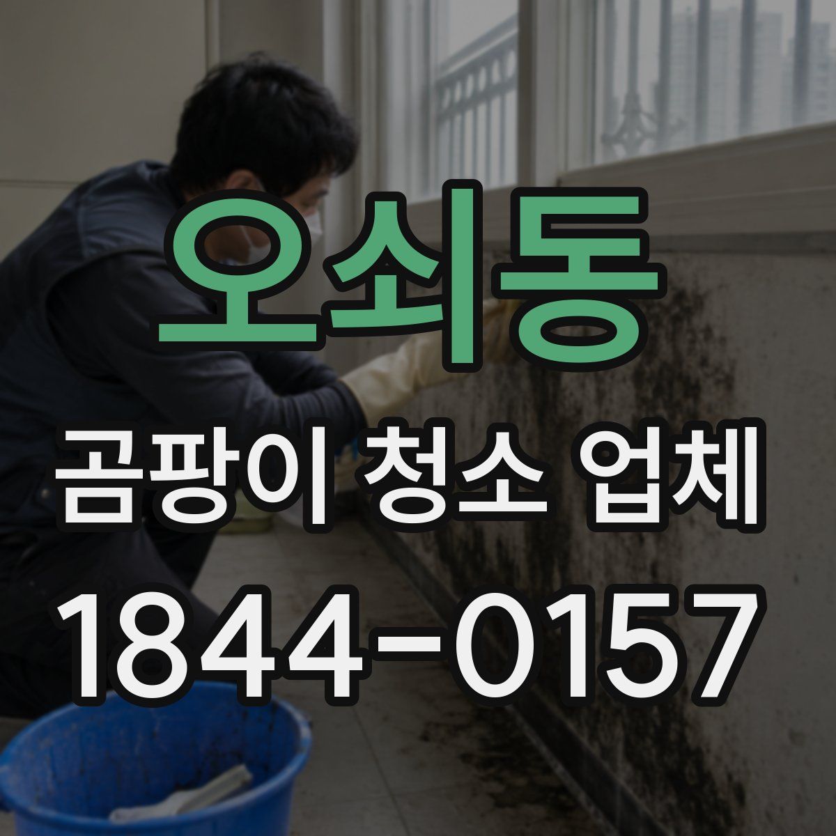 오쇠동 곰팡이 청소 업체