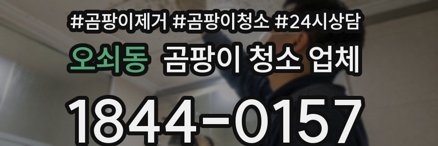 오쇠동 곰팡이 청소 업체
