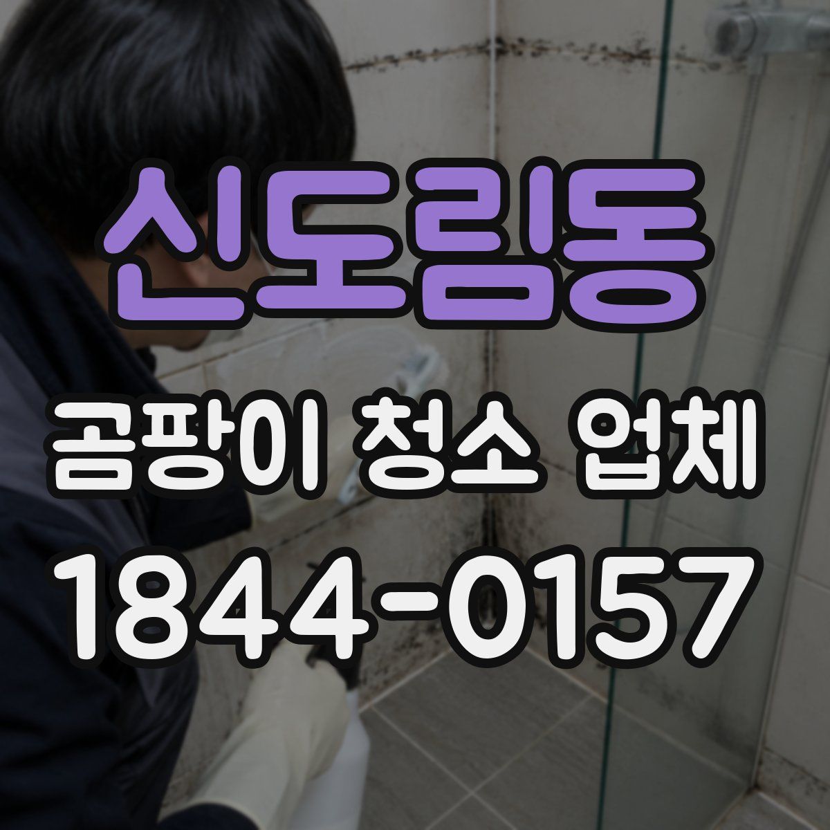 신도림동 곰팡이 청소 업체