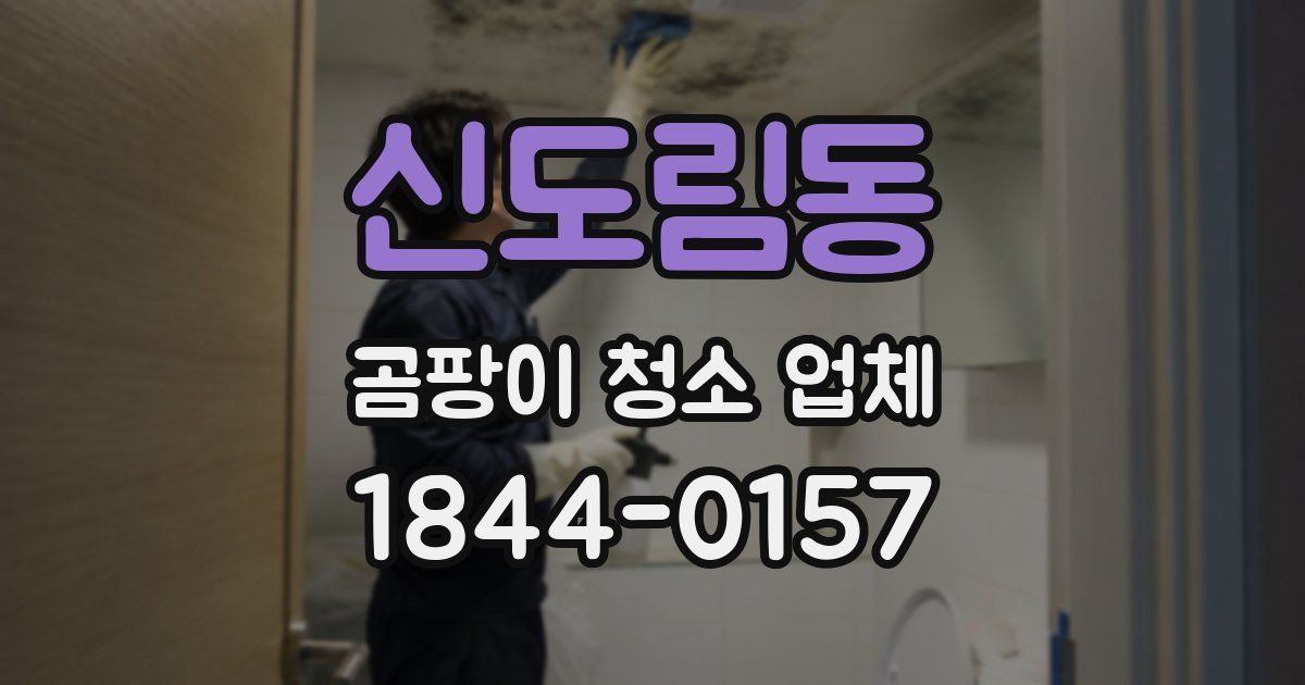 신도림동 곰팡이 청소 업체
