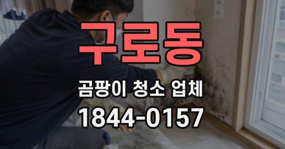 구로동 곰팡이 청소 업체