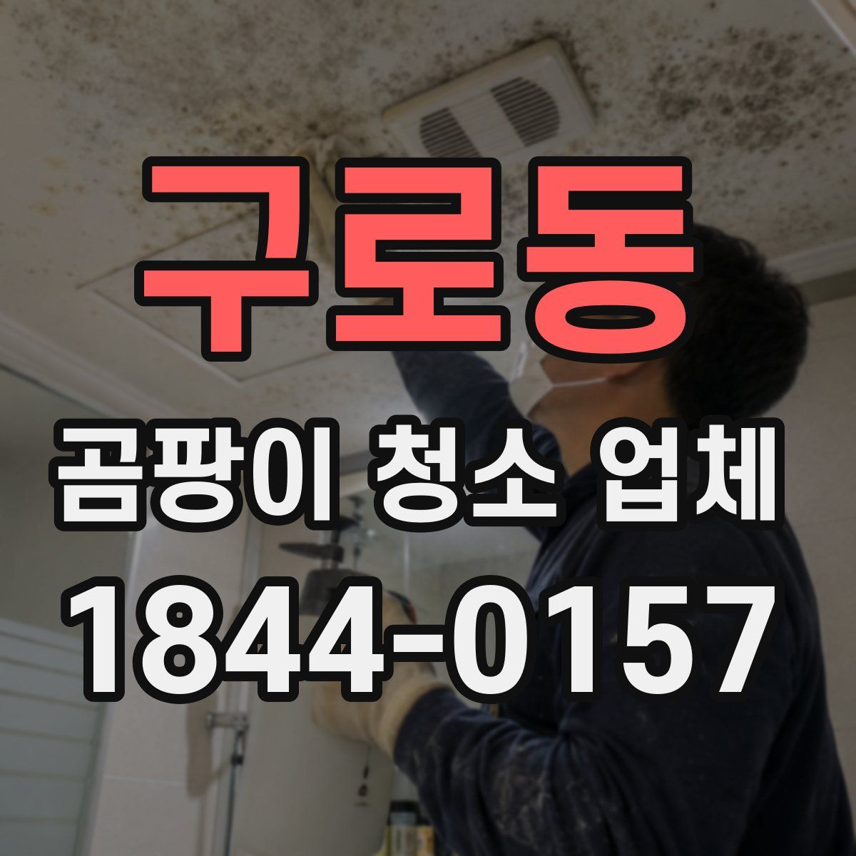 구로동 곰팡이 청소 업체