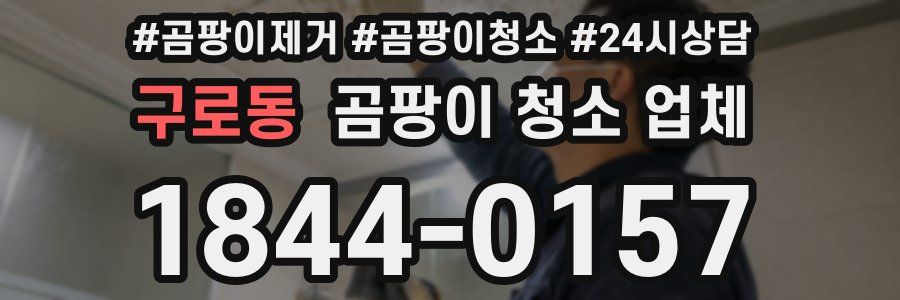 구로동 곰팡이 청소 업체