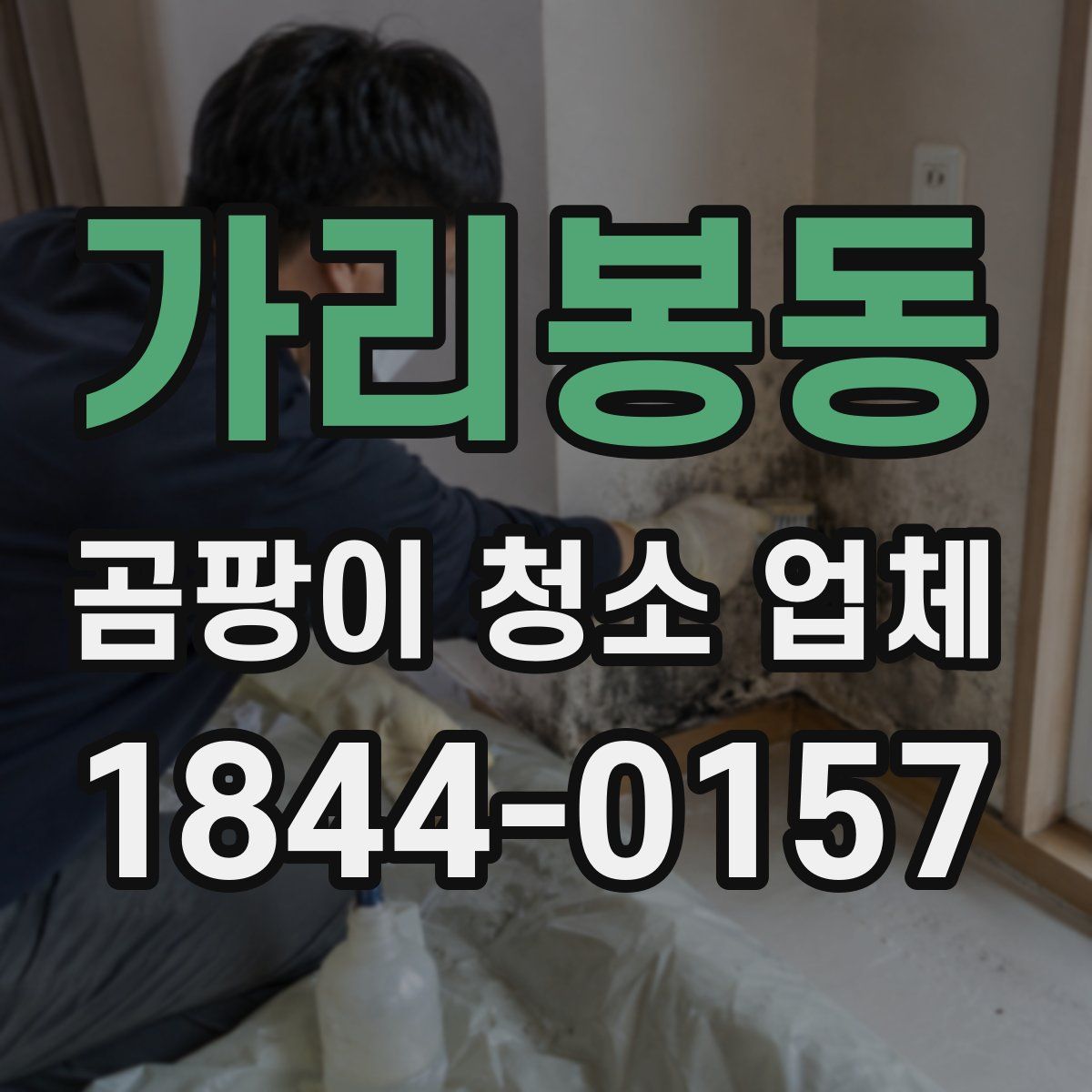 가리봉동 곰팡이 청소 업체