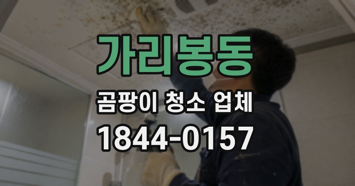 가리봉동 곰팡이 청소 업체