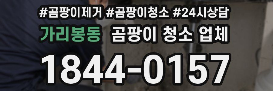 가리봉동 곰팡이 청소 업체