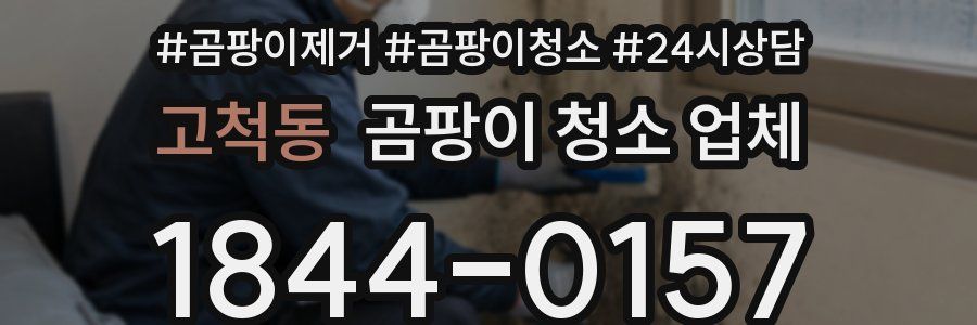 고척동 곰팡이 청소 업체