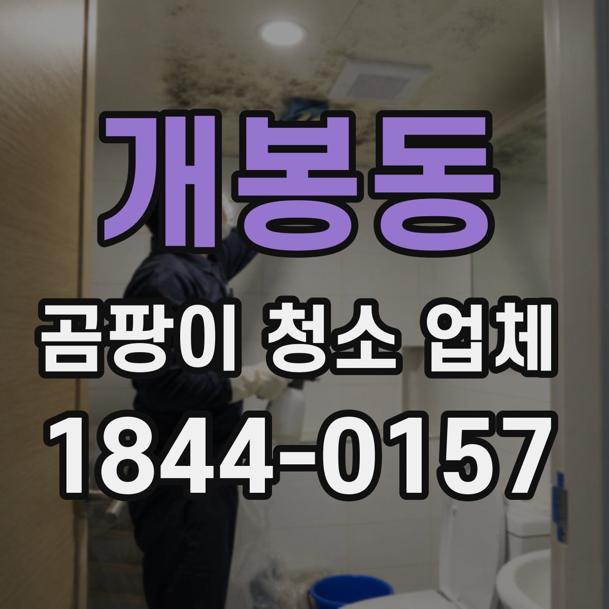 개봉동 곰팡이 청소 업체